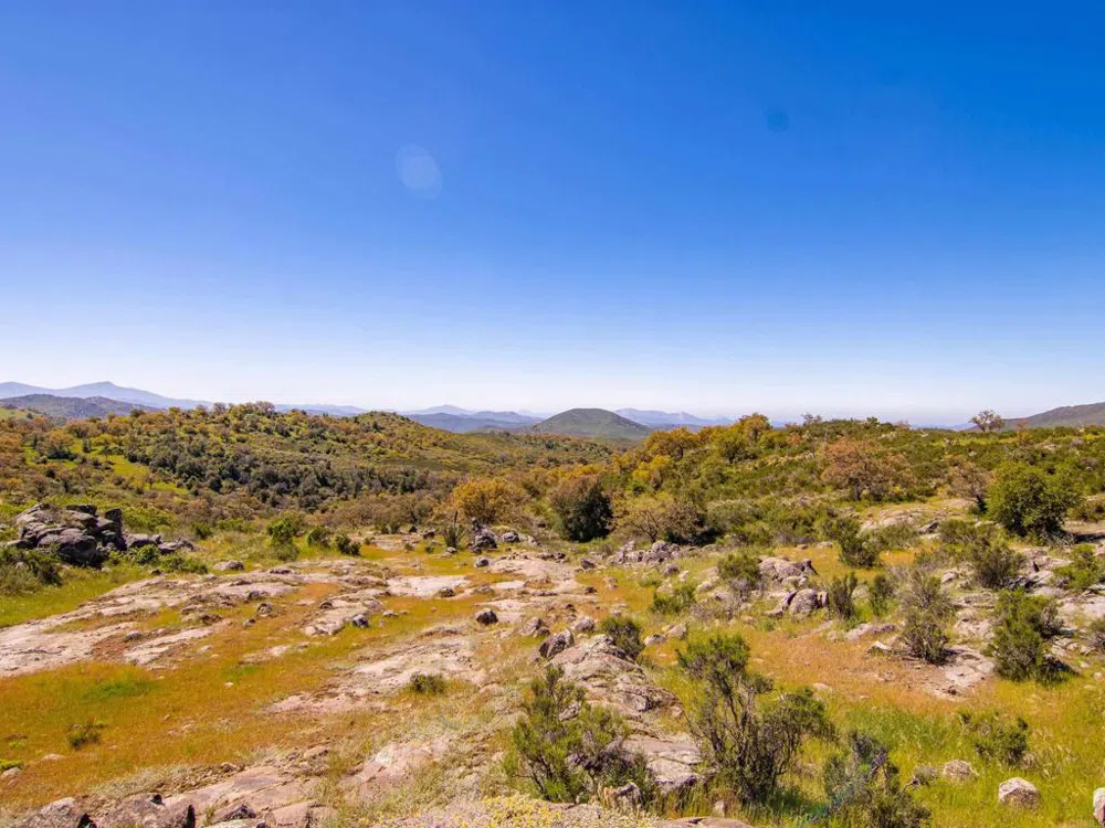 342 Mesa Grande Road Santa Ysabel, CA 92070