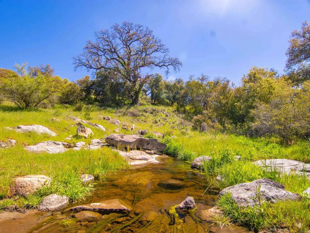 342 Mesa Grande Road Santa Ysabel, CA 92070