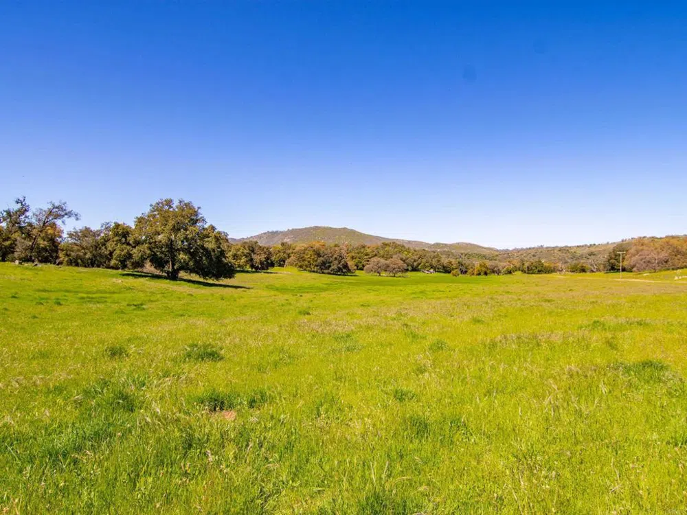 342 Mesa Grande Road Santa Ysabel, CA 92070