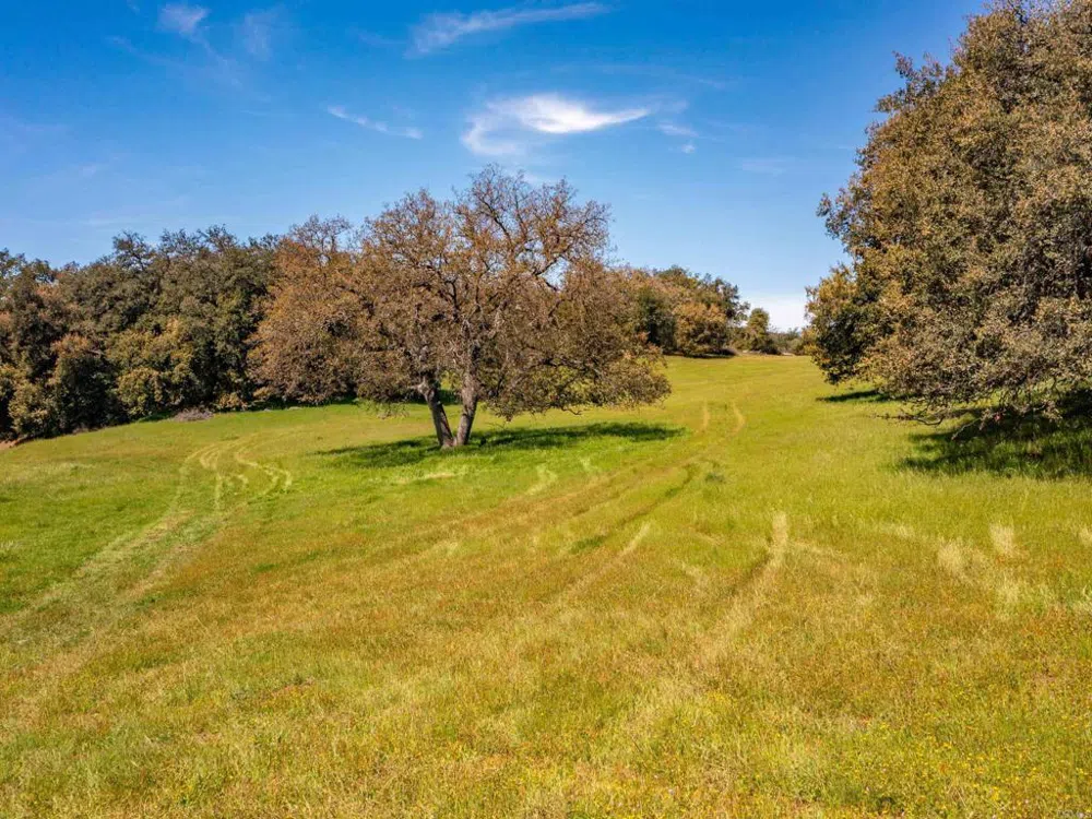 342 Mesa Grande Road Santa Ysabel, CA 92070
