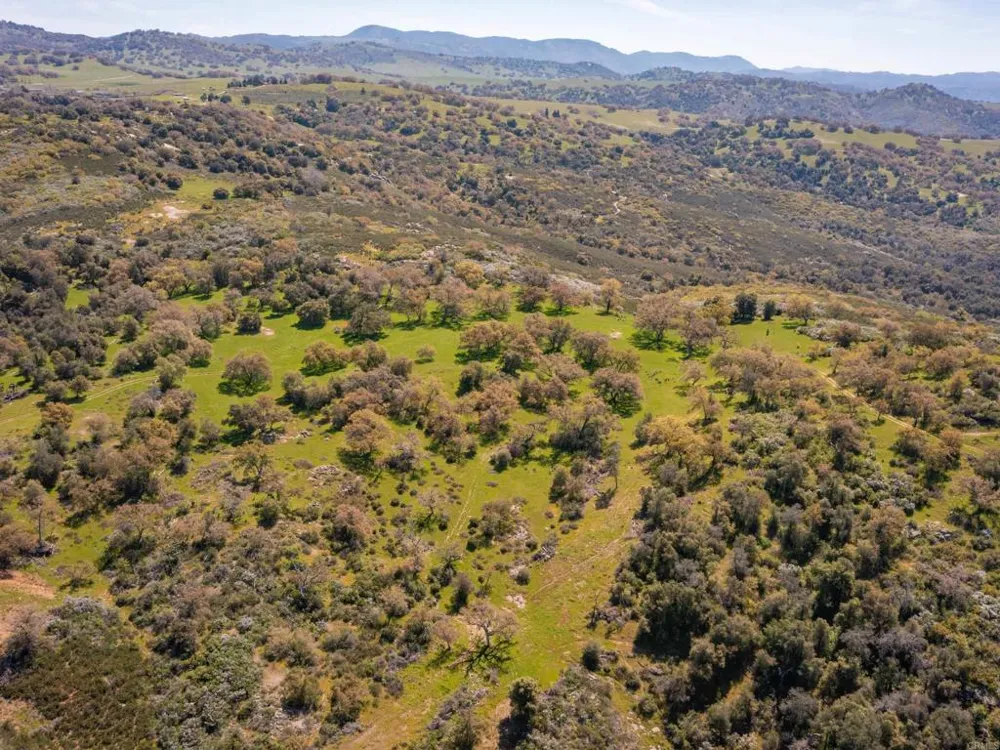342 Mesa Grande Road Santa Ysabel, CA 92070