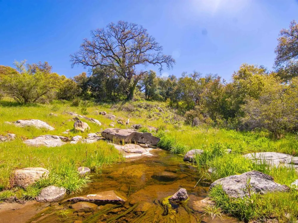 342 Mesa Grande Road Santa Ysabel, CA 92070