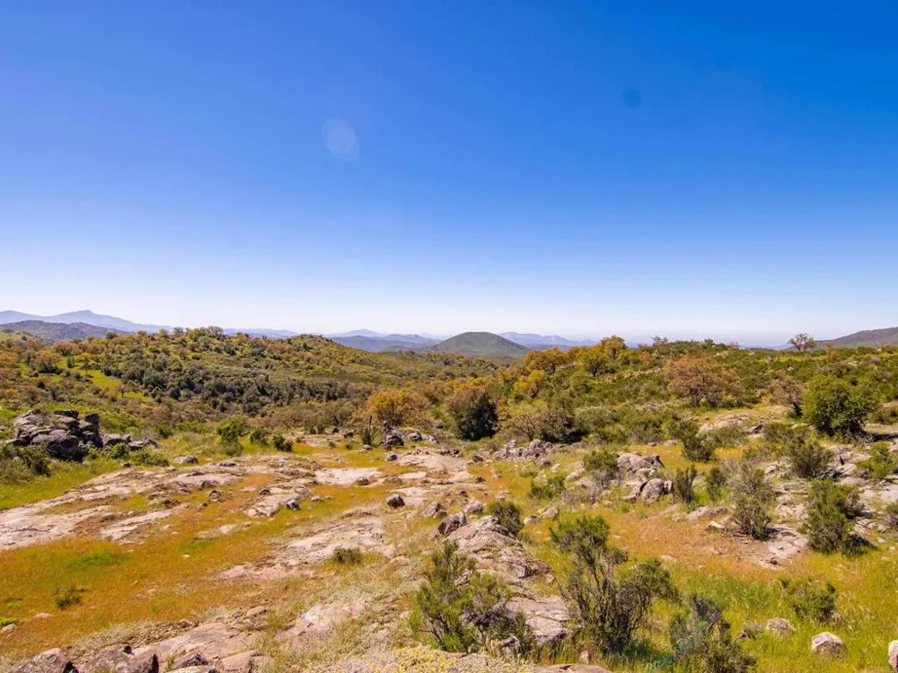 342 Mesa Grande Road Santa Ysabel, CA 92070