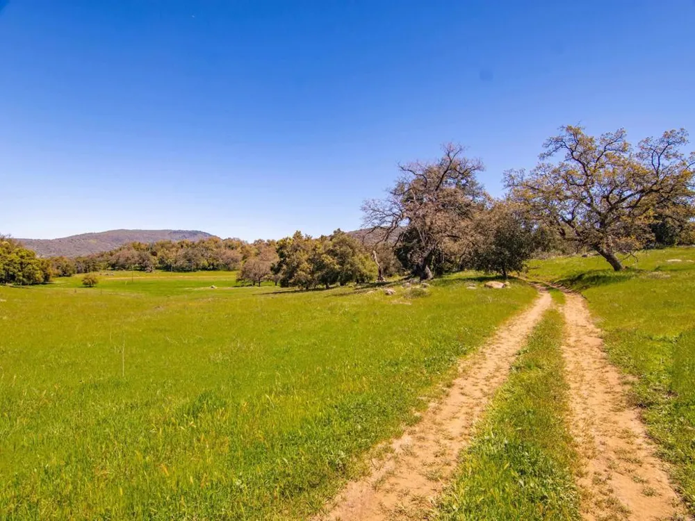 342 Mesa Grande Road Santa Ysabel, CA 92070