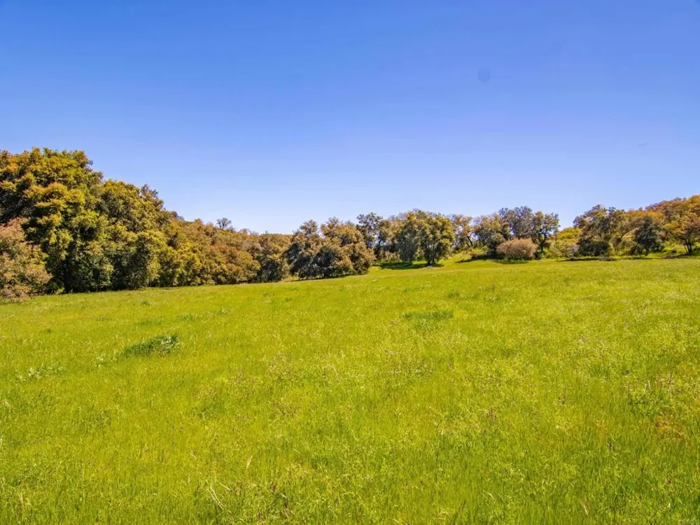 342 Mesa Grande Road Santa Ysabel, CA 92070