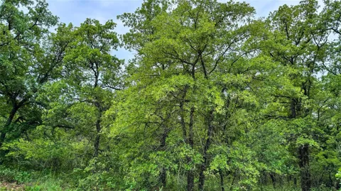 143 Briarwood Trail