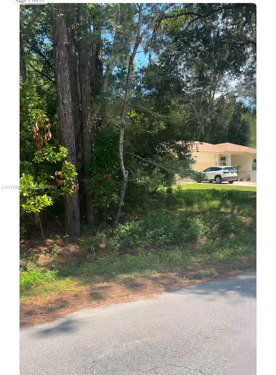 19835 SW 57 St ocala, FL 34431