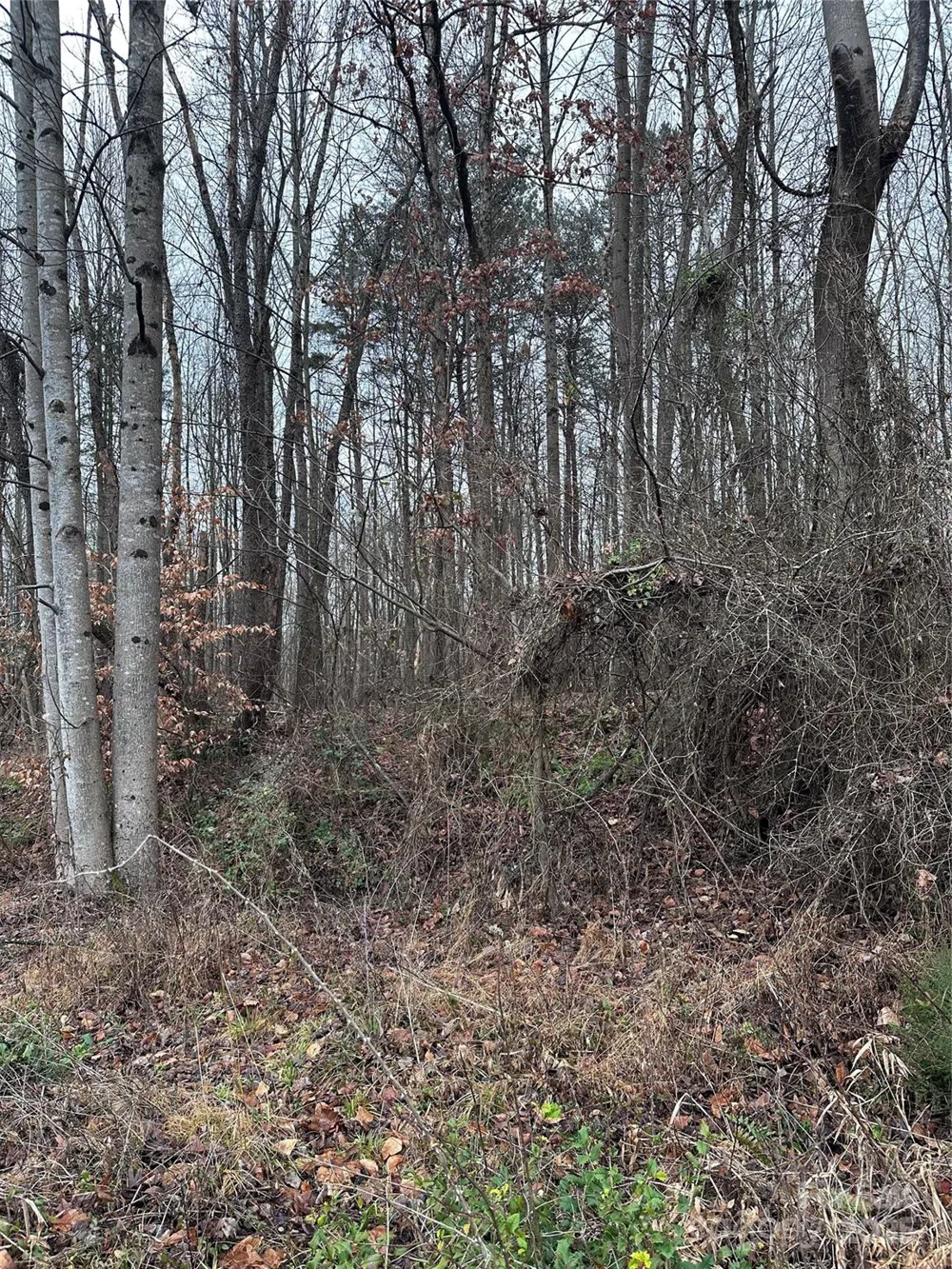 1122 State Street S Yadkinville, NC 27055