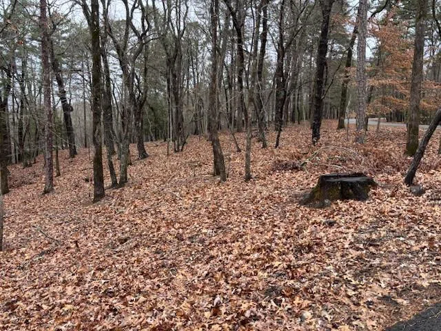 1023 Sparrows Nest Big Canoe, GA 30143