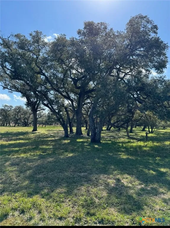 91 Post Oak Branch Inez, TX 77968