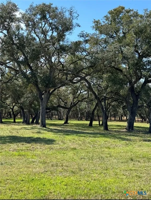 91 Post Oak Branch Inez, TX 77968