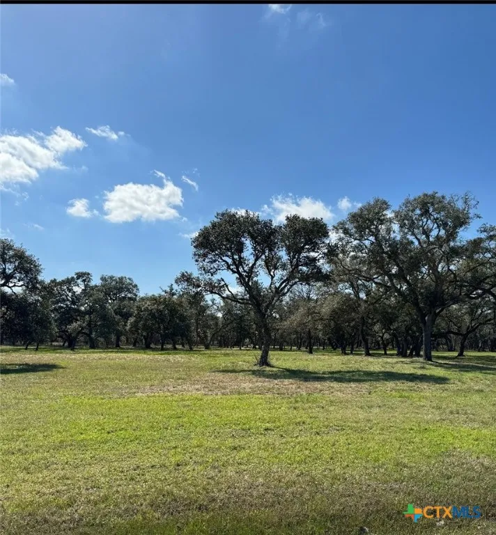 91 Post Oak Branch Inez, TX 77968