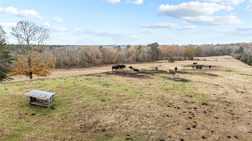 16202 State Highway 87 S Shelbyville, TX 75973