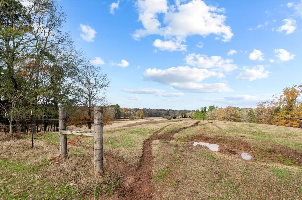 16202 State Highway 87 S Shelbyville, TX 75973