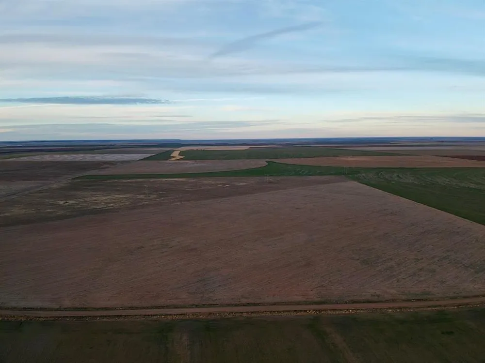 CR 168 Anson, TX 79501