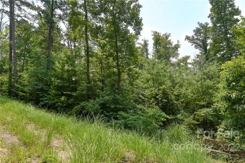 Lot 2 The Vines Boulevard #Lot 2 Marshall, NC 28753