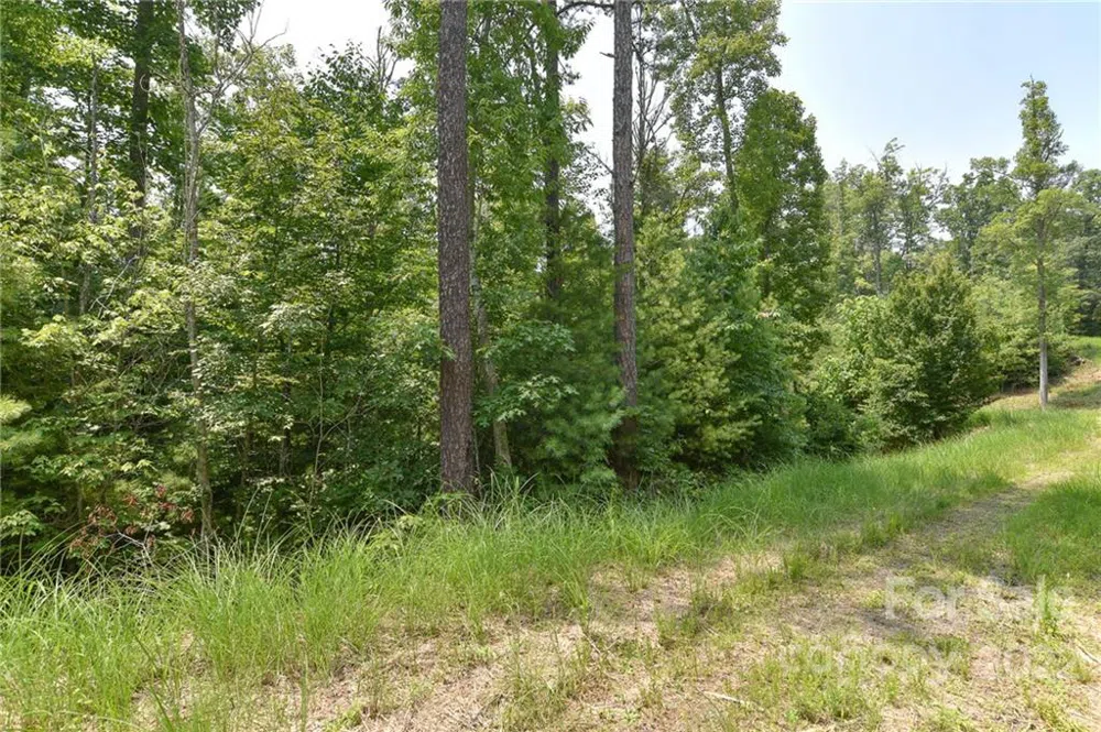 Lot 2 The Vines Boulevard #Lot 2 Marshall, NC 28753