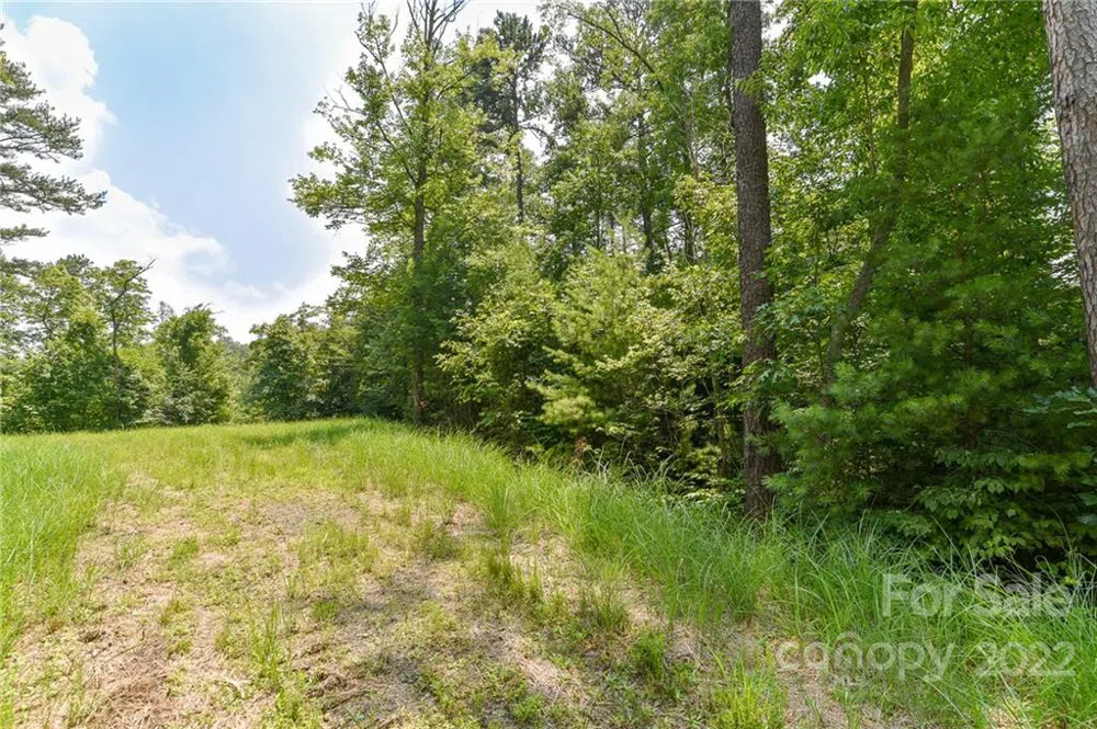 Lot 4 The Vines Boulevard #Lot 4 Marshall, NC 28753