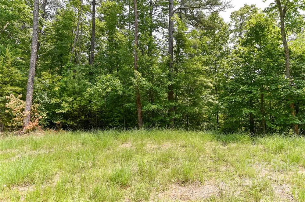 Lot 4 The Vines Boulevard #Lot 4 Marshall, NC 28753