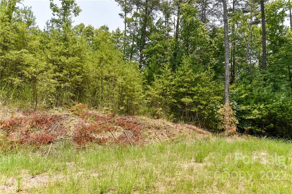 Lot 4 The Vines Boulevard #Lot 4 Marshall, NC 28753