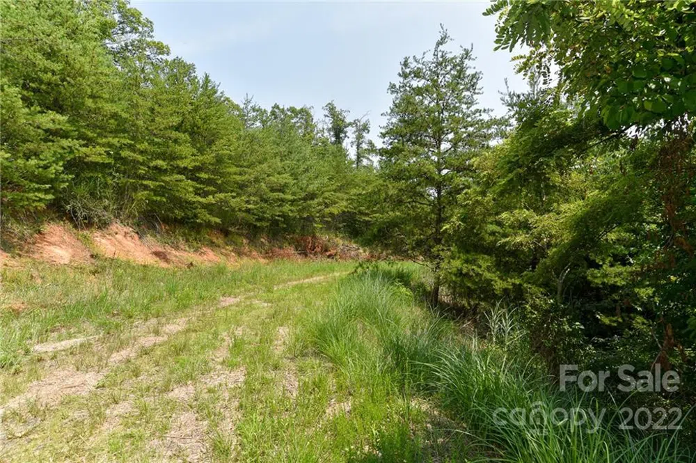 Lot 9 The Vines Boulevard #Lot 9 Marshall, NC 28753