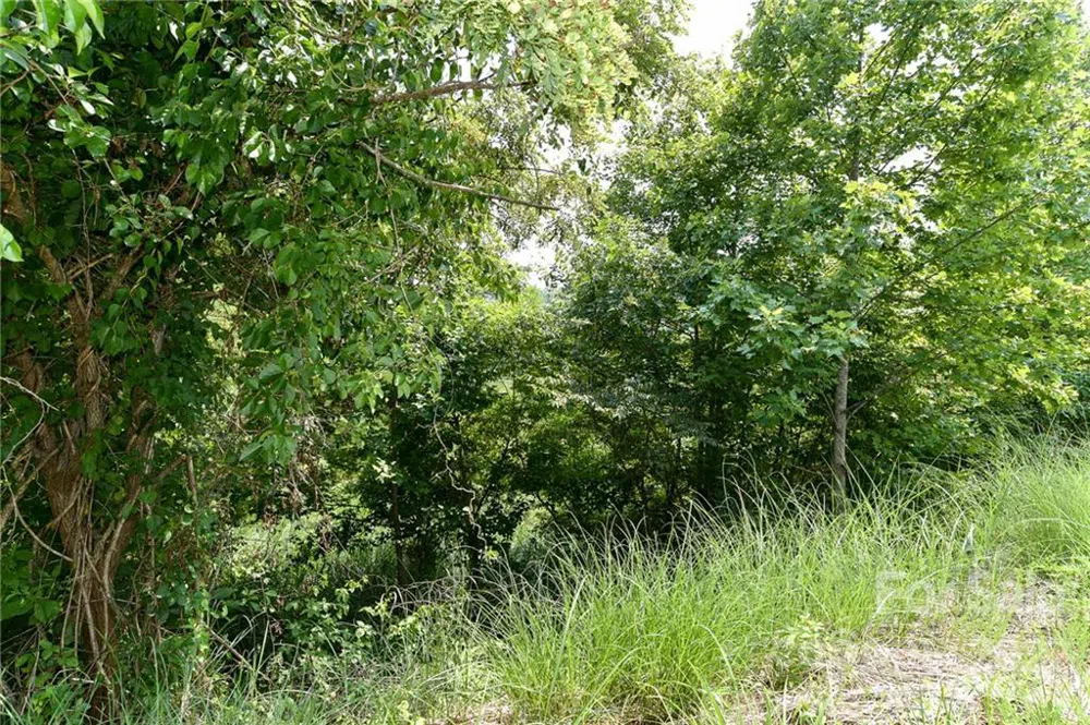 Lot 9 The Vines Boulevard #Lot 9 Marshall, NC 28753