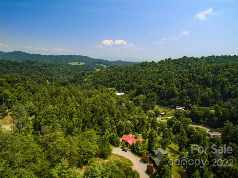 Lot 9 The Vines Boulevard #Lot 9 Marshall, NC 28753