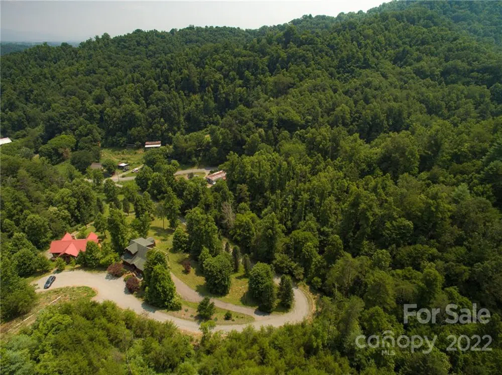 Lot 9 The Vines Boulevard #Lot 9 Marshall, NC 28753