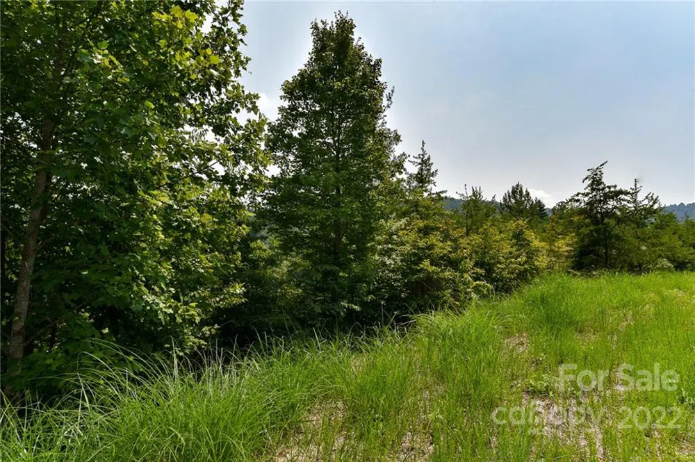 113 Chardonnay Avenue #10 Marshall, NC 28753