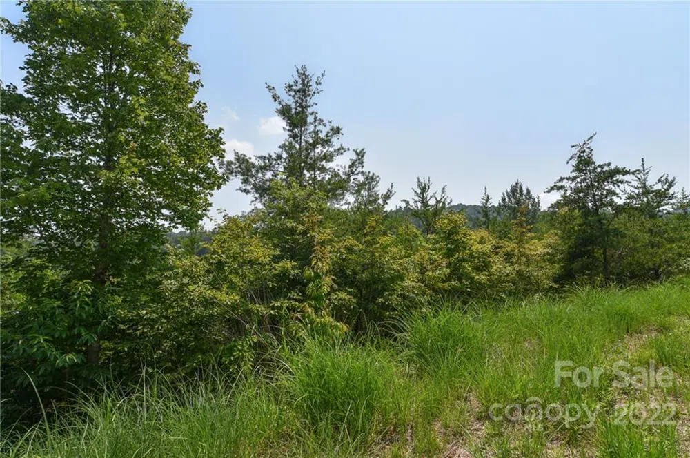 113 Chardonnay Avenue #10 Marshall, NC 28753