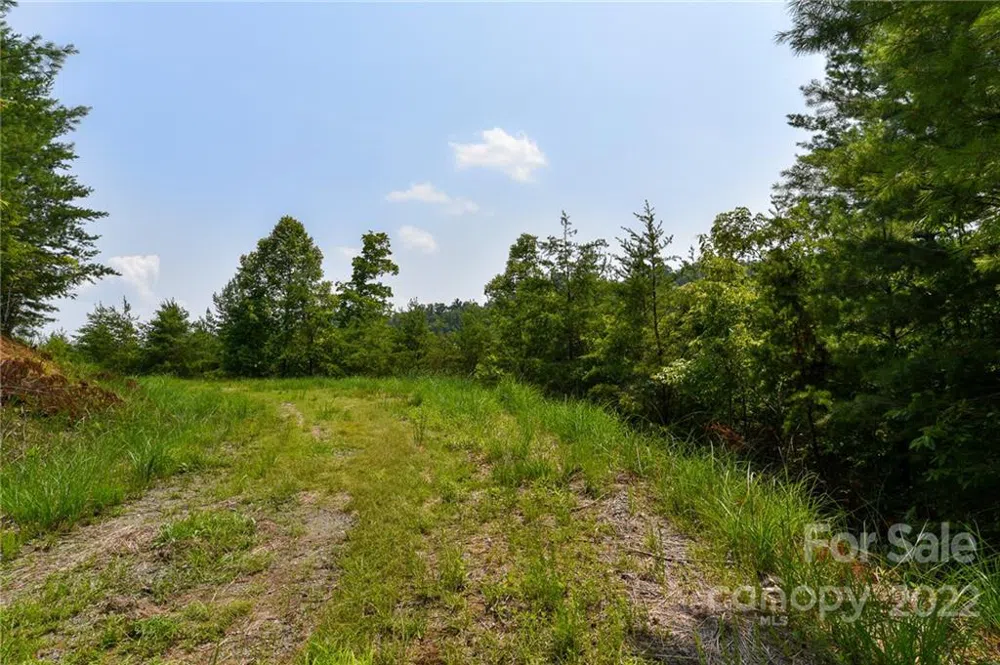 Lot 11 The Vines Boulevard #Lot 11 Marshall, NC 28753