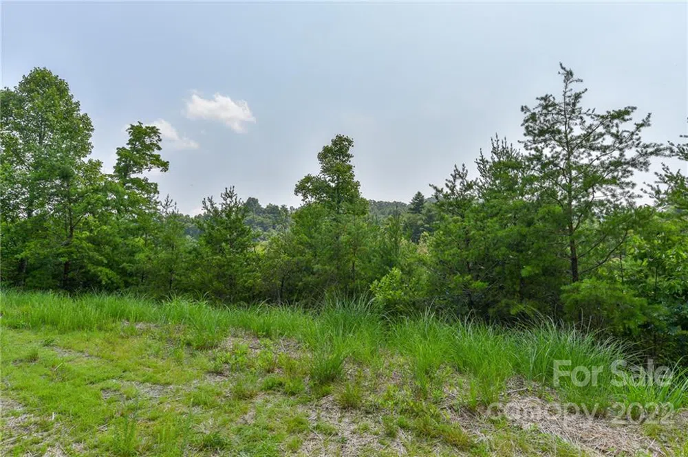 Lot 11 The Vines Boulevard #Lot 11 Marshall, NC 28753