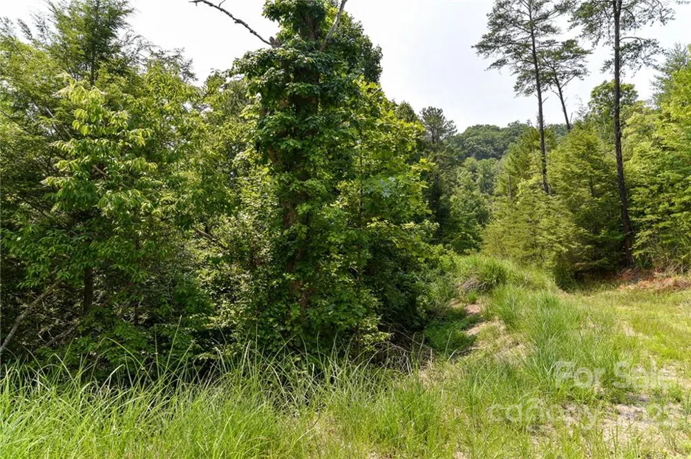 Lot 12 The Vines Boulevard #Lot 12 Marshall, NC 28753