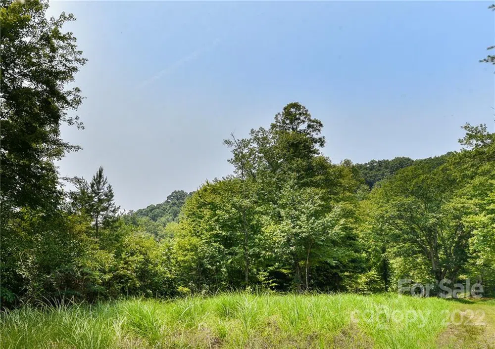 441 The Vines Boulevard #15 Marshall, NC 28753