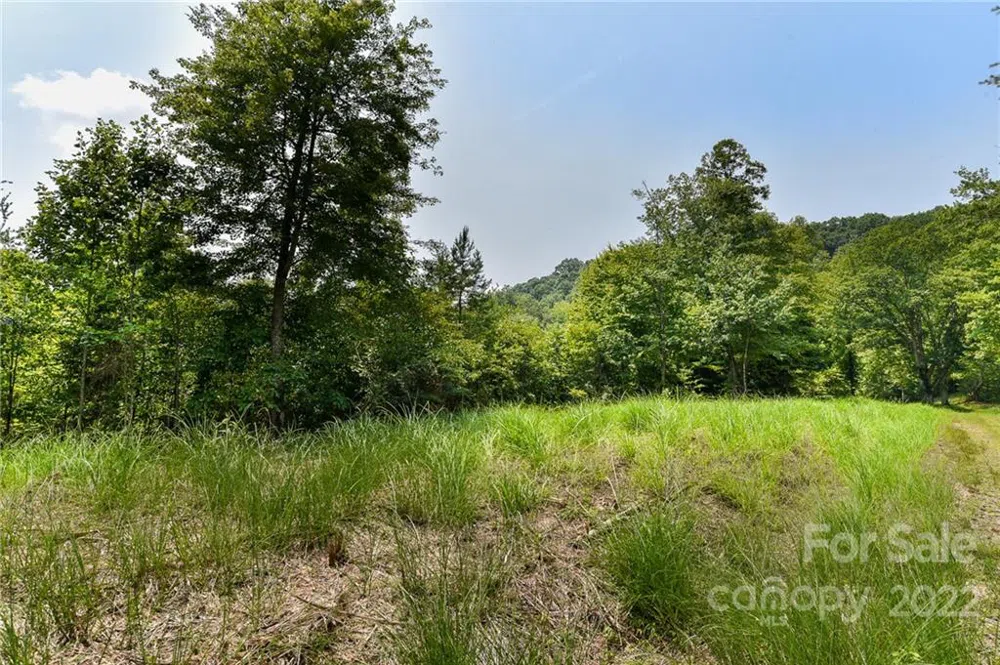 441 The Vines Boulevard #15 Marshall, NC 28753