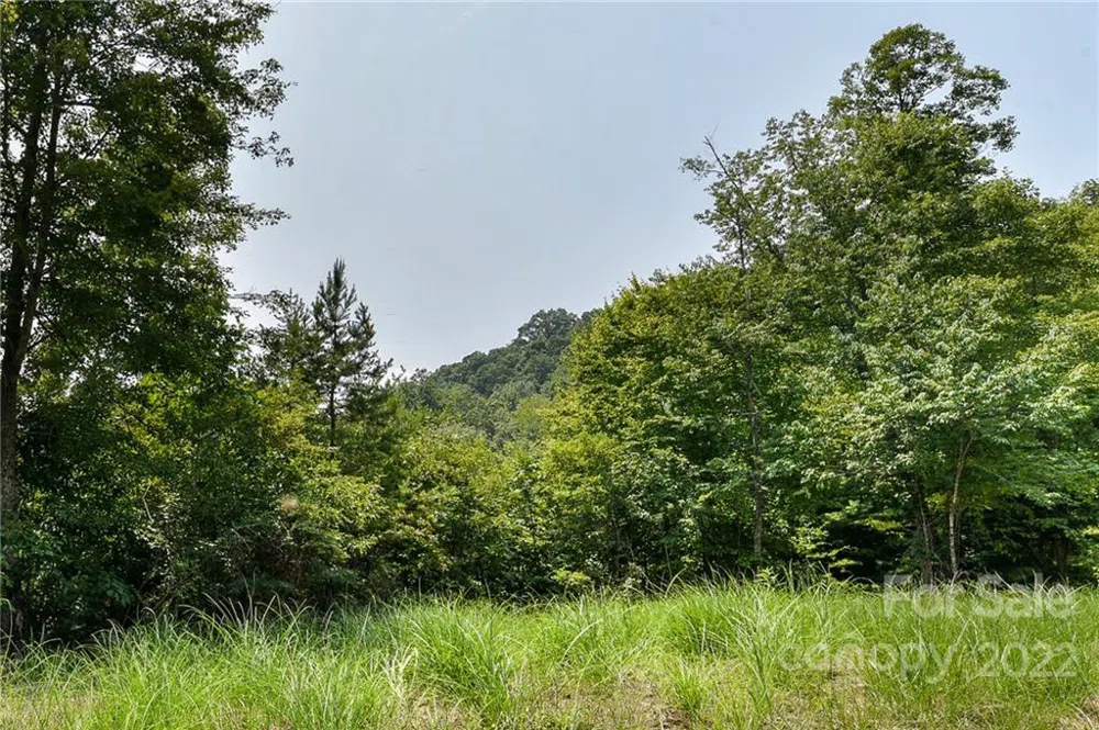 441 The Vines Boulevard #15 Marshall, NC 28753