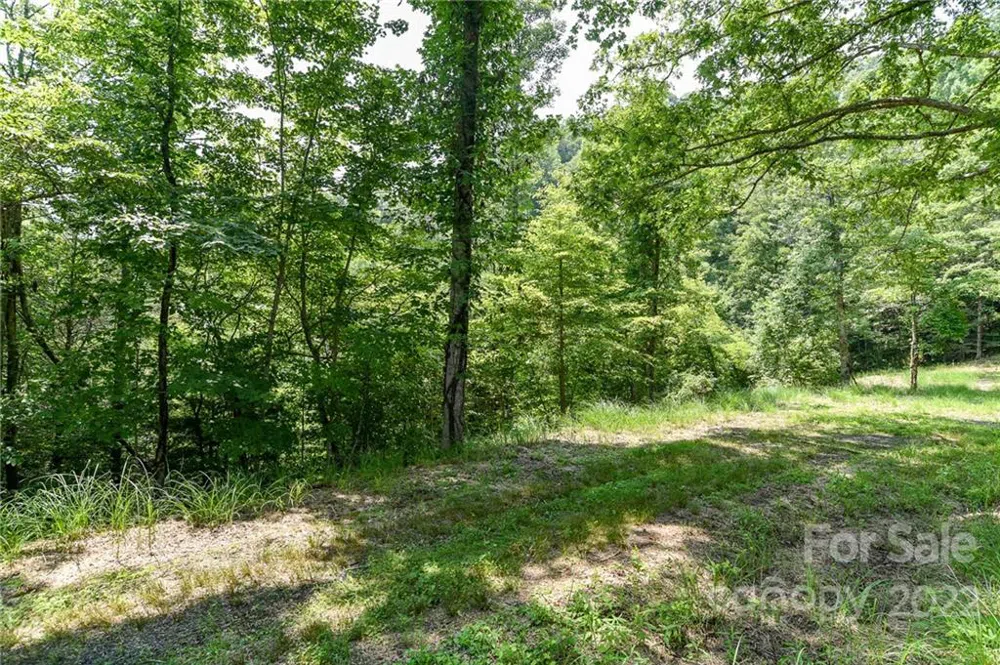 Lot 13 The Vines Boulevard #Lot 13 Marshall, NC 28753