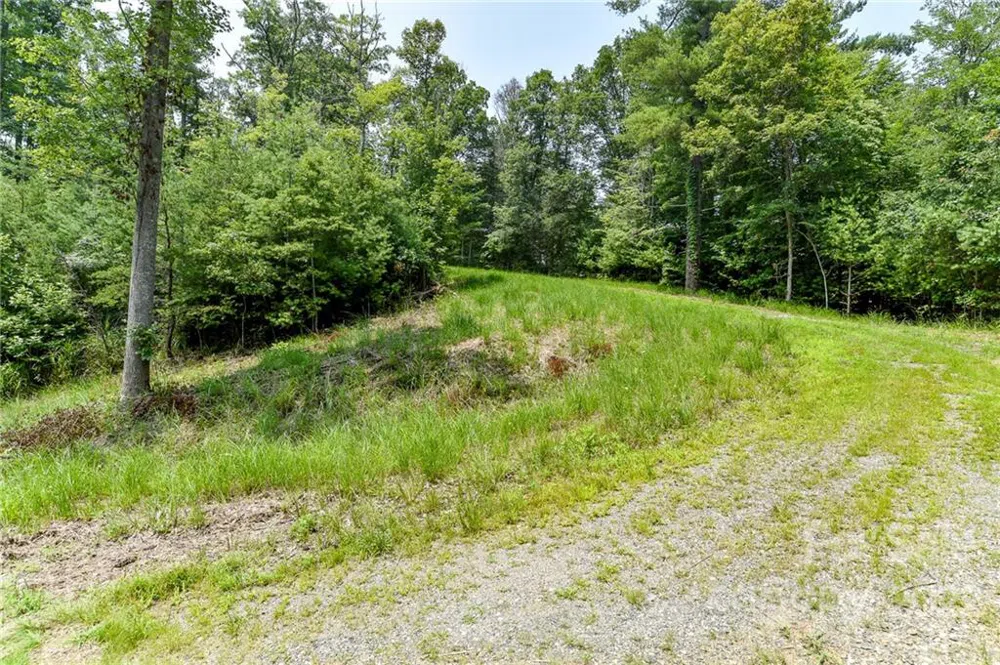 301 The Vines Boulevard #20 Marshall, NC 28753
