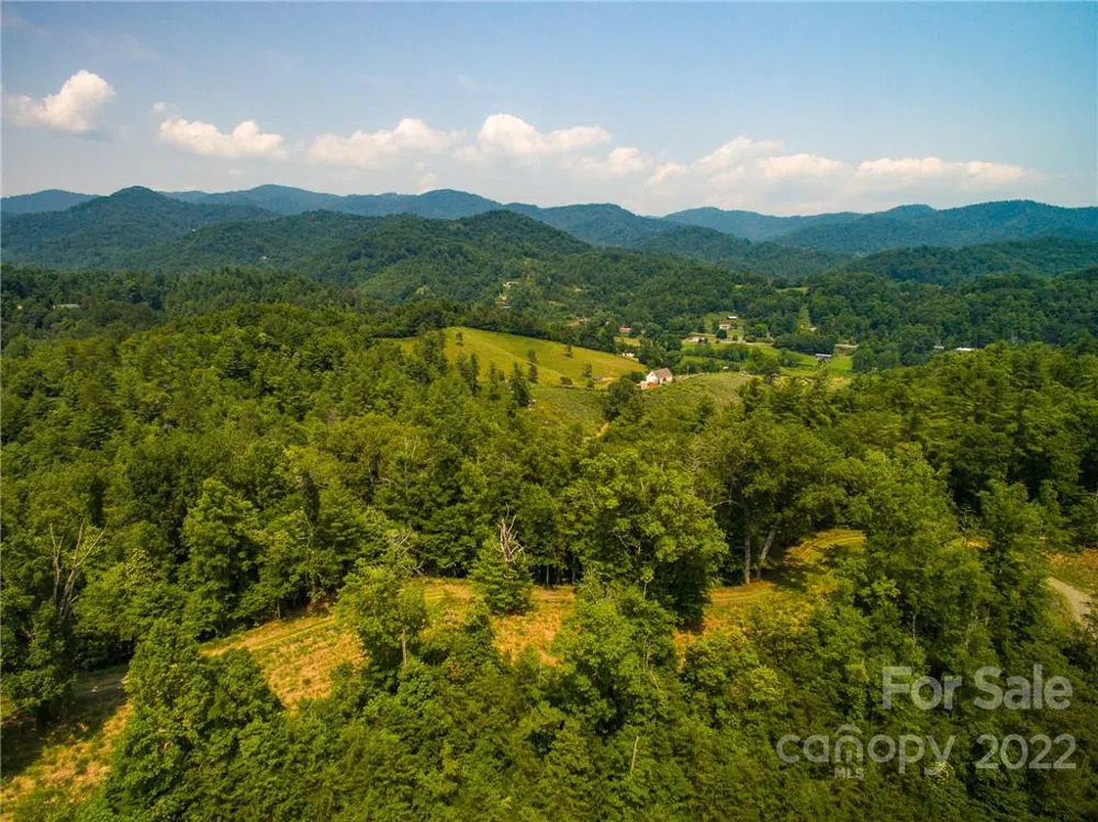 301 The Vines Boulevard #20 Marshall, NC 28753