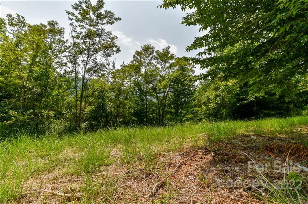 319 The Vines Boulevard #21 Marshall, NC 28753
