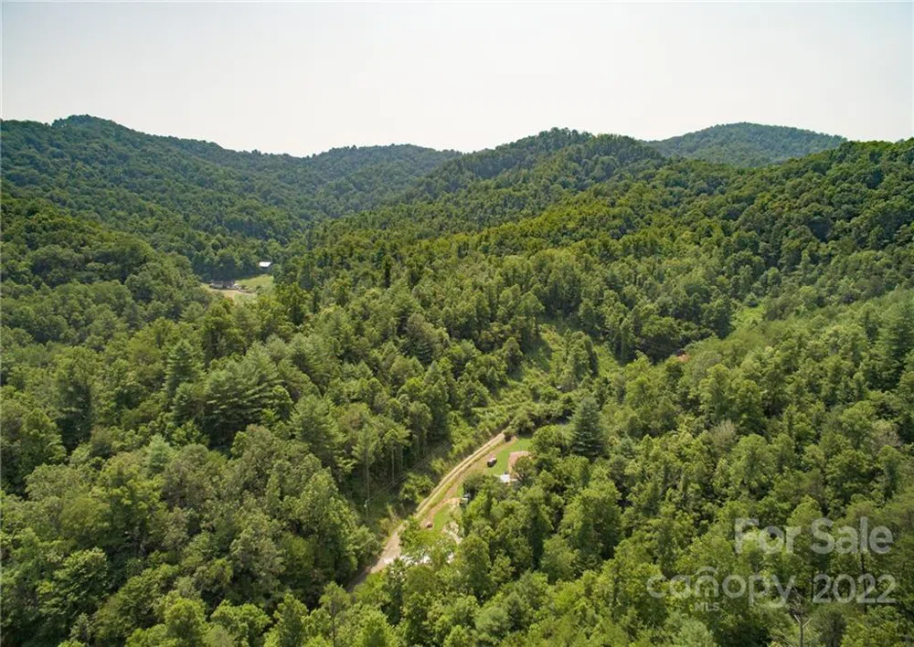 319 The Vines Boulevard #21 Marshall, NC 28753