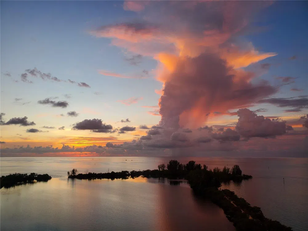 6035 SEA RANCH DRIVE #901 Hudson, FL 34667