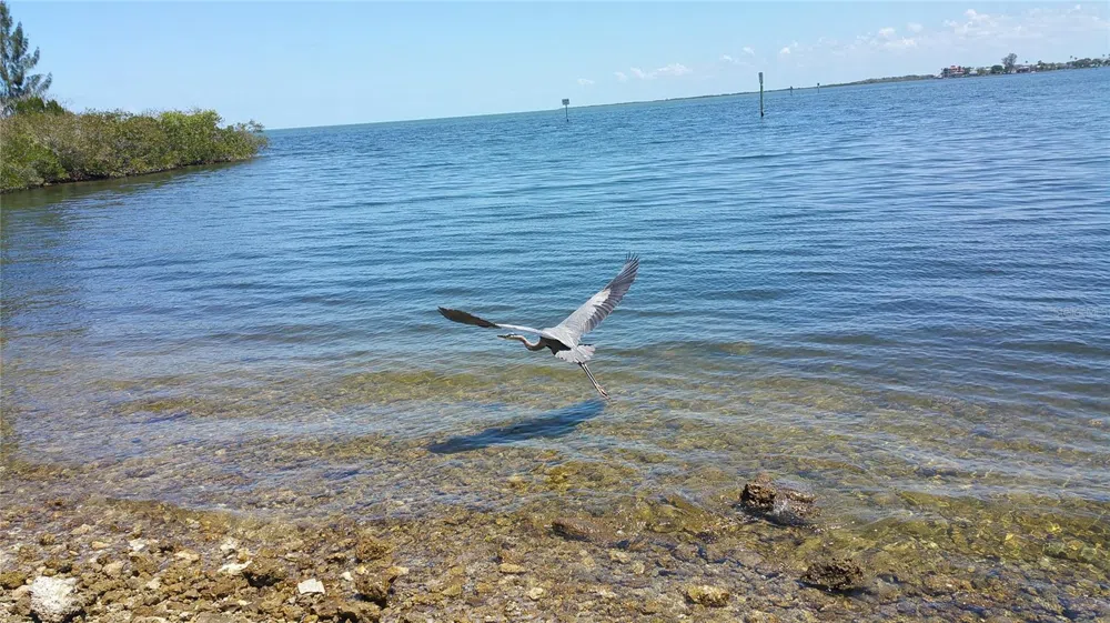 6035 SEA RANCH DRIVE #901 Hudson, FL 34667
