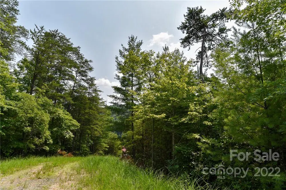 Lot 22 The Vines Boulevard #Lot 22 Marshall, NC 28753