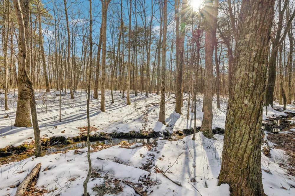 0 Timberwood Trace Monteagle, TN 37356