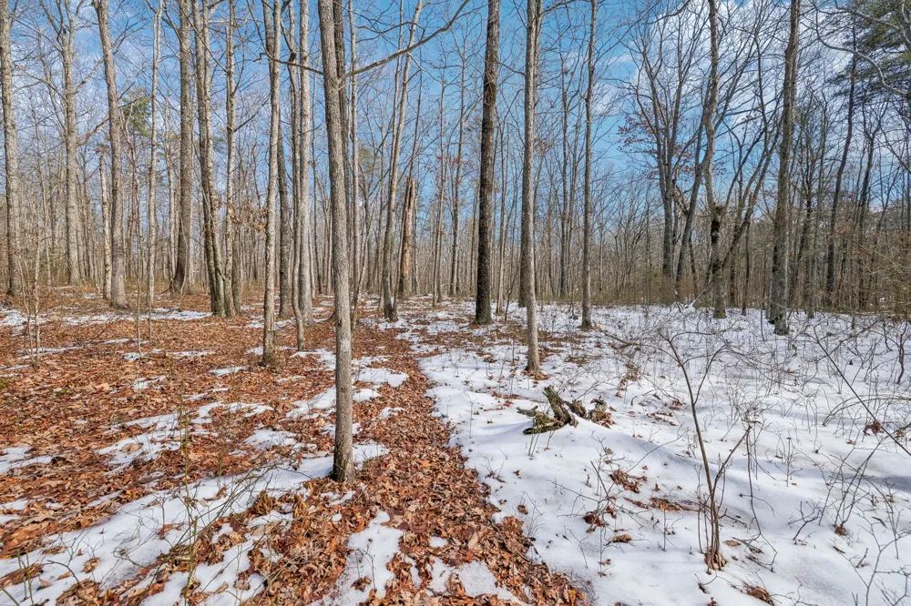 0 Timberwood Trace Monteagle, TN 37356