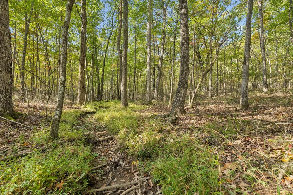 0 Timberwood Trace Monteagle, TN 37356