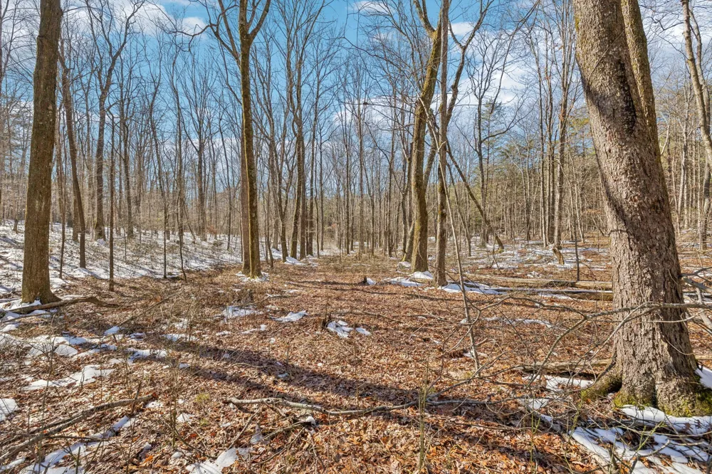 0 Timberwood Trace Monteagle, TN 37356