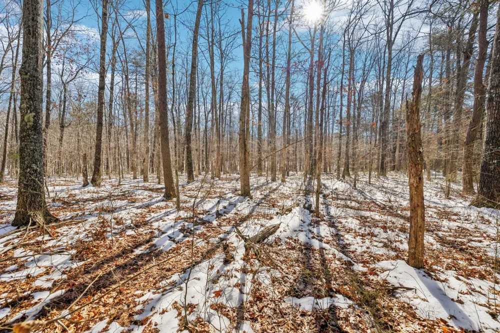 0 Timberwood Trace Monteagle, TN 37356