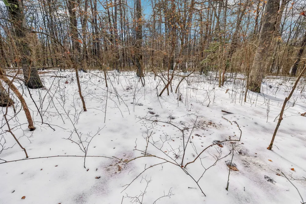 0 Timberwood Trace Monteagle, TN 37356